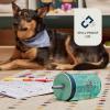 Contigo Leighton Kids Water Bottle, 2-Pack, 14oz, Spill-Proof, Blue Raspberry/Azalea & Butterlies/Llamas, Dishwasher Safe Tumbler with Straw(Paw Patrol)